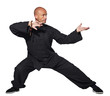 Master of tai-chi