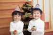 クリスマスツリーの前で