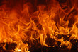 Fuoco 8