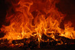 Fuoco 11