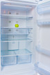 apple in the fridge