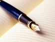 Fountain pen