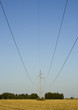 high voltage towers on a cornfield high voltage towers on a cornfield