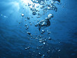 Bubbles