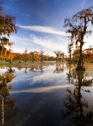 Photo: Caddo Lake, TX Caddo Lake, TX