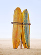 Surfboards