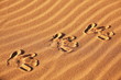 Footprints