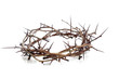 Crown of thorns on a white background