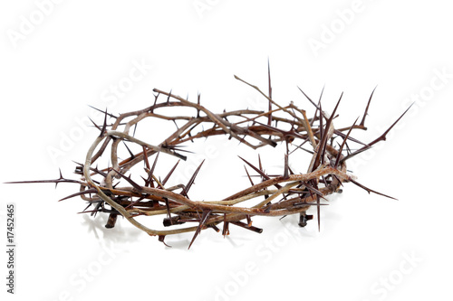 Photo: Crown of thorns on a white background Crown of thorns on a white background