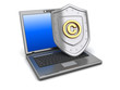 copyrights protect