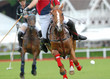 Action Polo  6-7