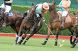 Action Polo  3-7