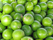 Lime-09252009-03 Lime-09252009-03