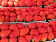 Strawberries at road side stand-09252009-05 Strawberries at road side stand-09252009-05