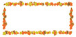Autumn leaf border Autumn leaf border