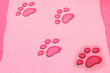 paw
