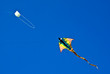 Weißer und bunter Drachen am Himmel
