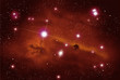 orion