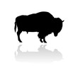 vector bison silhouette vector bison silhouette