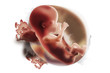 baby2 baby2