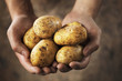 Photo en ligne au meilleur prix Potatoes