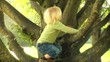 Junge auf Baum Junge auf Baum