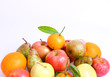 obst