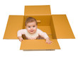 Baby in a box Baby in a box