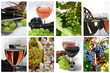 Autour du vin