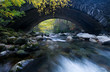 Smoky Mountains bridge