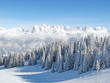 Winter in the alps Winter in the alps