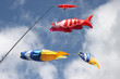 Kois Windsack