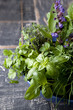 Herb Garden