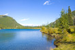 Forget me not Pond Forget me not Pond
