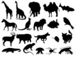 Animal silhouettes