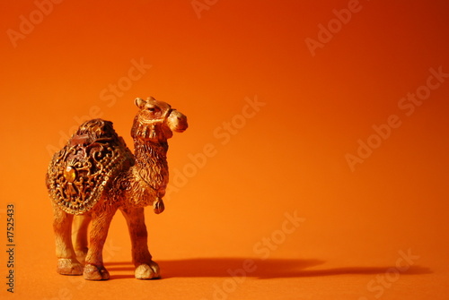 Photo: Miniature Camel Miniature Camel
