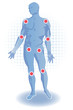 Vecteur : Anatomie des articulations Anatomie des articulations