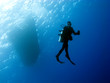 Scuba Diver on the way back to the Boat