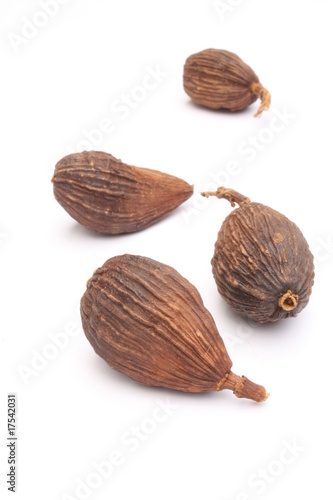 Black cardamom / 草果