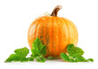 yellow pumpkin vegetable with green leaves