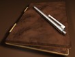 Etui Leder mit Kugelschreiber