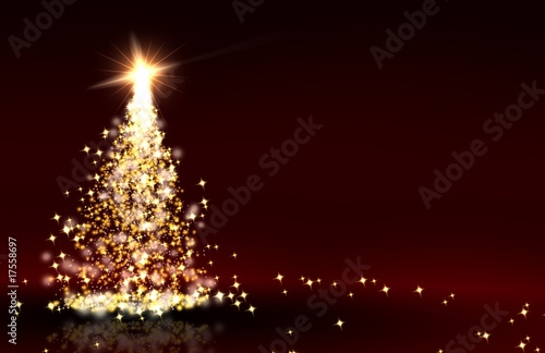 Weihnachtssterne rot