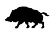 silhouette of the wild boar isolated on white background silhouette of the wild boar isolated on white background