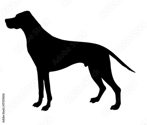 Illustration: silhouette beagle isolated on white background silhouette beagle isolated on white background