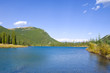 Forget me not Pond Forget me not Pond
