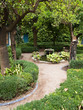 Orangers dans les jardins du palais