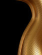 Illustration: Golden dragon background Golden dragon background