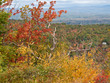 Fall Foliage