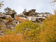 Fall Foliage