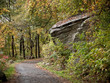 Fall Foliage